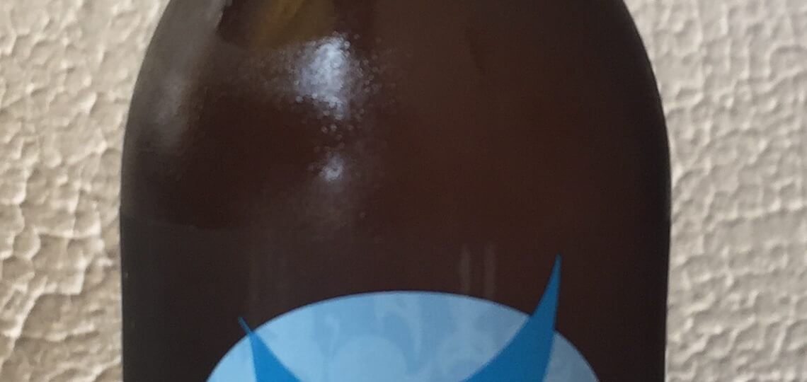 cerveza artesana siete vidas