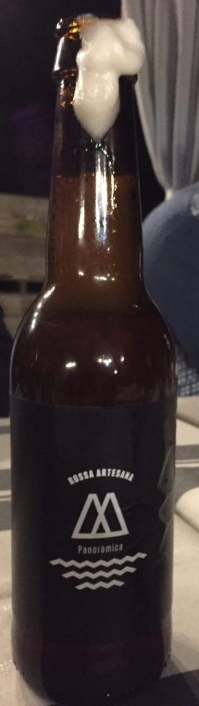 cerveza artesanal panoramic