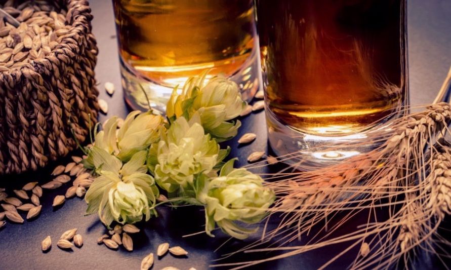 como hacer cerveza artesanal